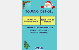 Tournoi de noel