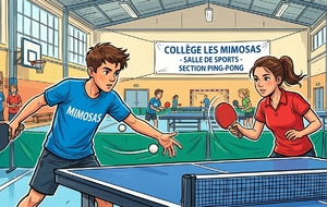 Tennis de table: Compétition district (Collège Capron)